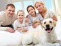 Tampa Animal Hospital | Oak Tree Animal Hospital Tampa FL Family-Dog