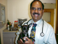 Tampa Veterinarian Dr Kumar Oak Tree Animal Hospital Tampa FL 33604