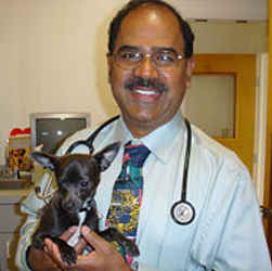 kumar pet clinic